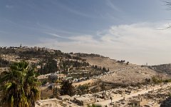 Pohled z hradeb, Olivetská hora