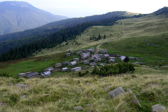 img00029.jpg