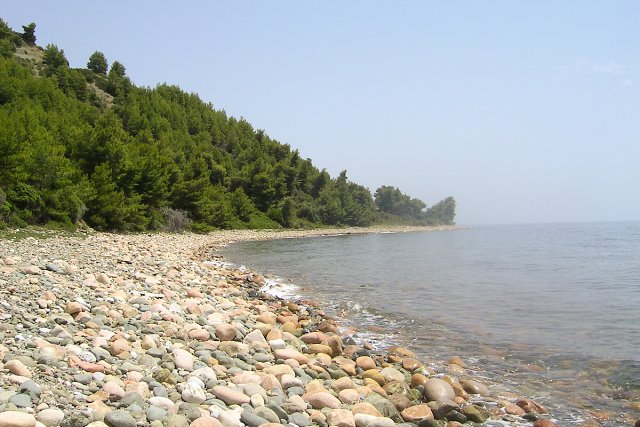 img00034.jpg