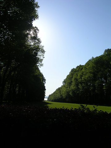 img00001.jpg