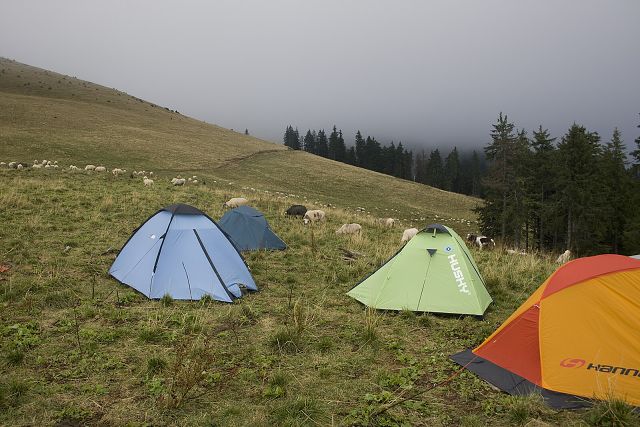 img00011.jpg