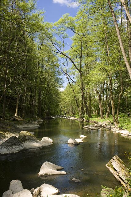 img00015.jpg
