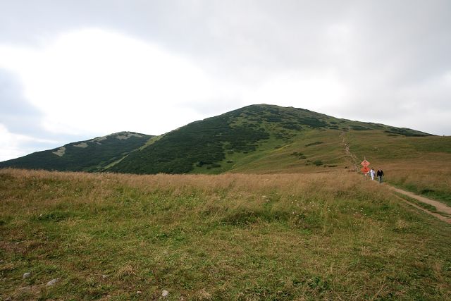img00001.jpg