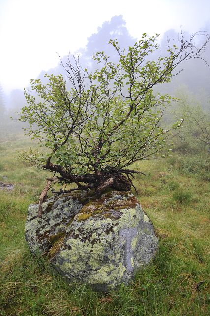 img00200.jpg