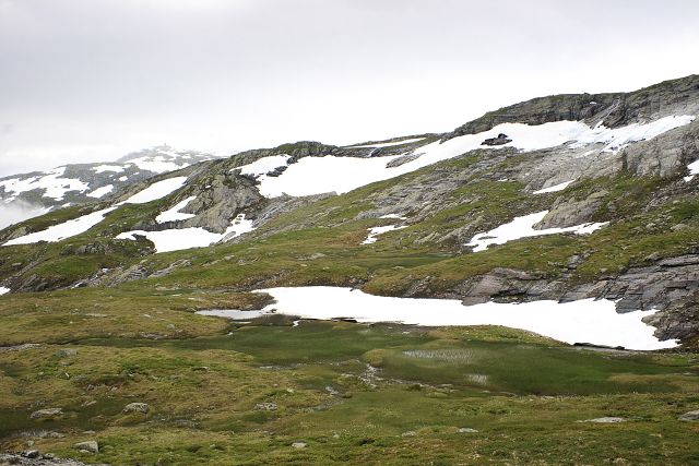 img00225.jpg