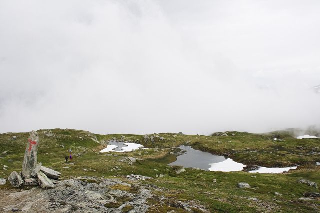 img00226.jpg