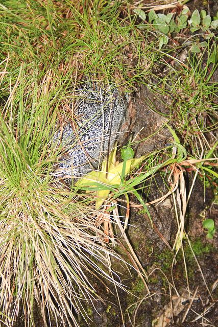 img00227.jpg