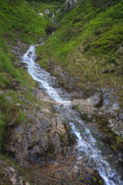 img00011.jpg