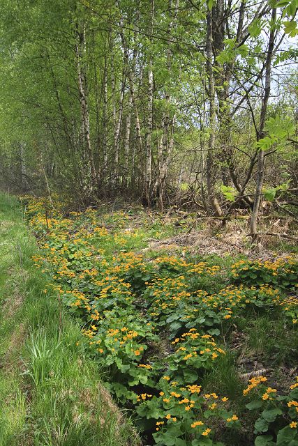 img00011.jpg