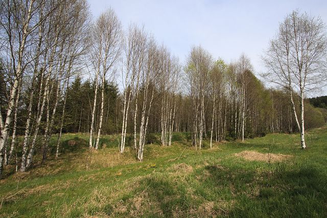 img00015.jpg