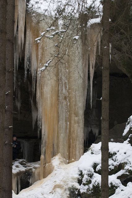 img00020.jpg