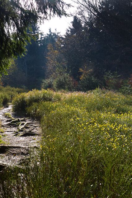 img00005.jpg
