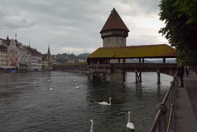 img00014.jpg