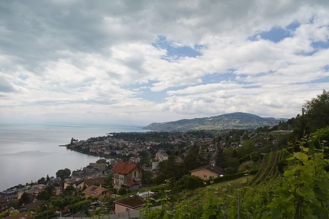 img00016.jpg