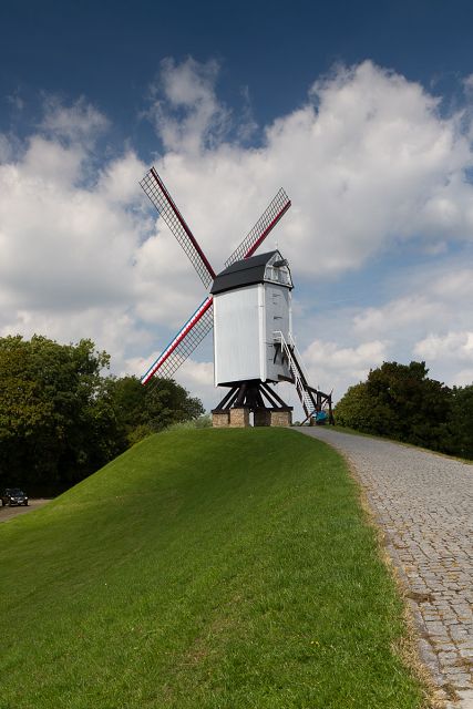 img00011.jpg