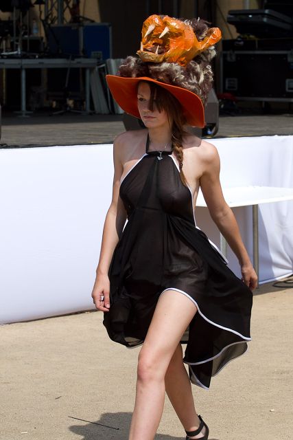 img00030.jpg