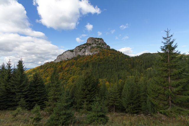 img00006.jpg