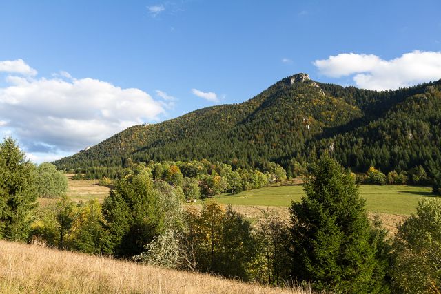 img00009.jpg