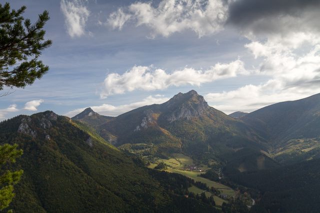 img00011.jpg