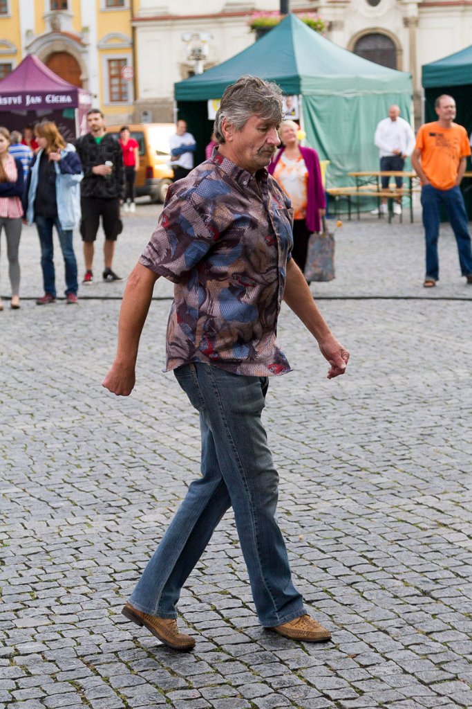 Fanoušek