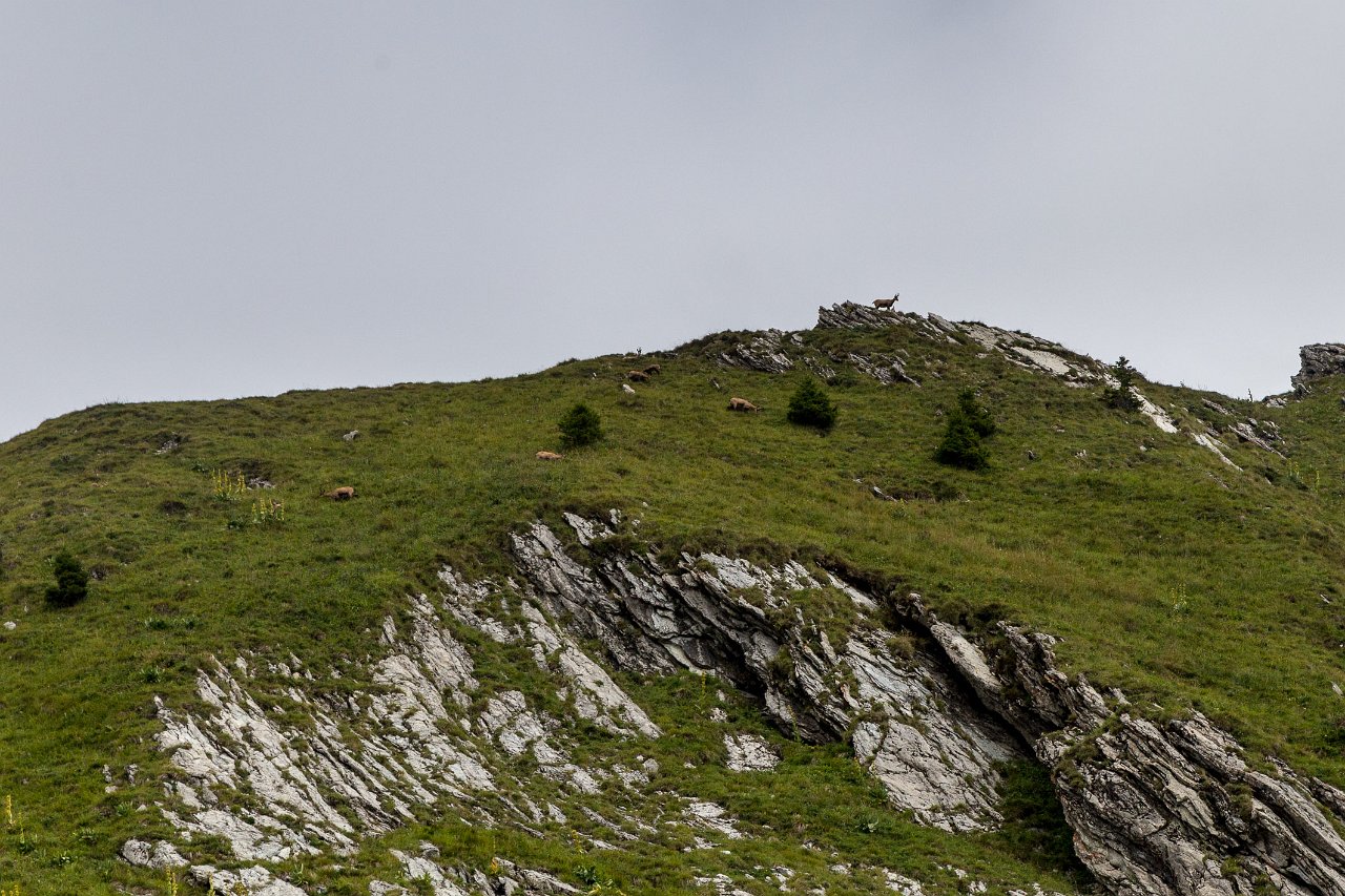 Rochers de Naye