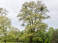 Kroměříž, Podzámecká zahrada