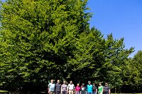 Začátek pátého dne