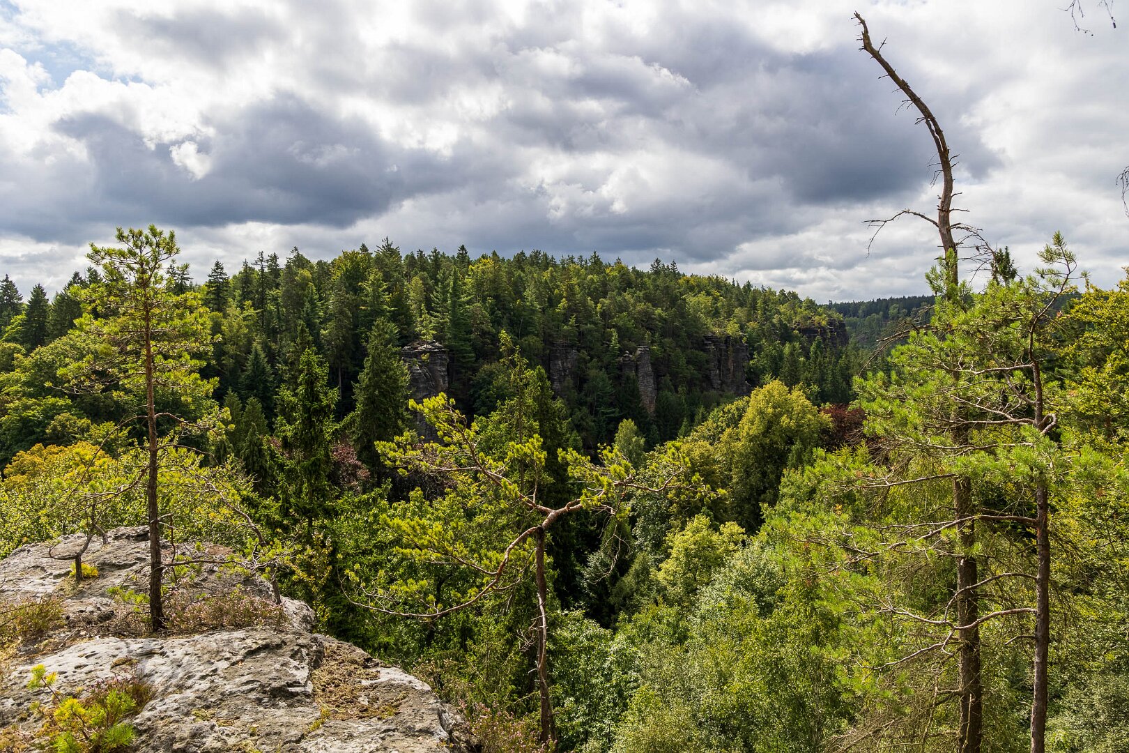 Skály v okolí Rosenthalu
