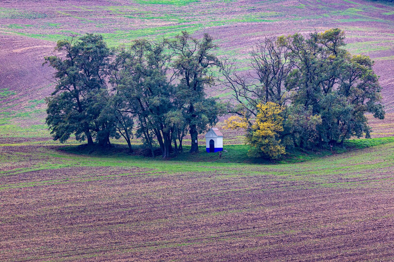 Kapločka, Svatobořice - Mistřín