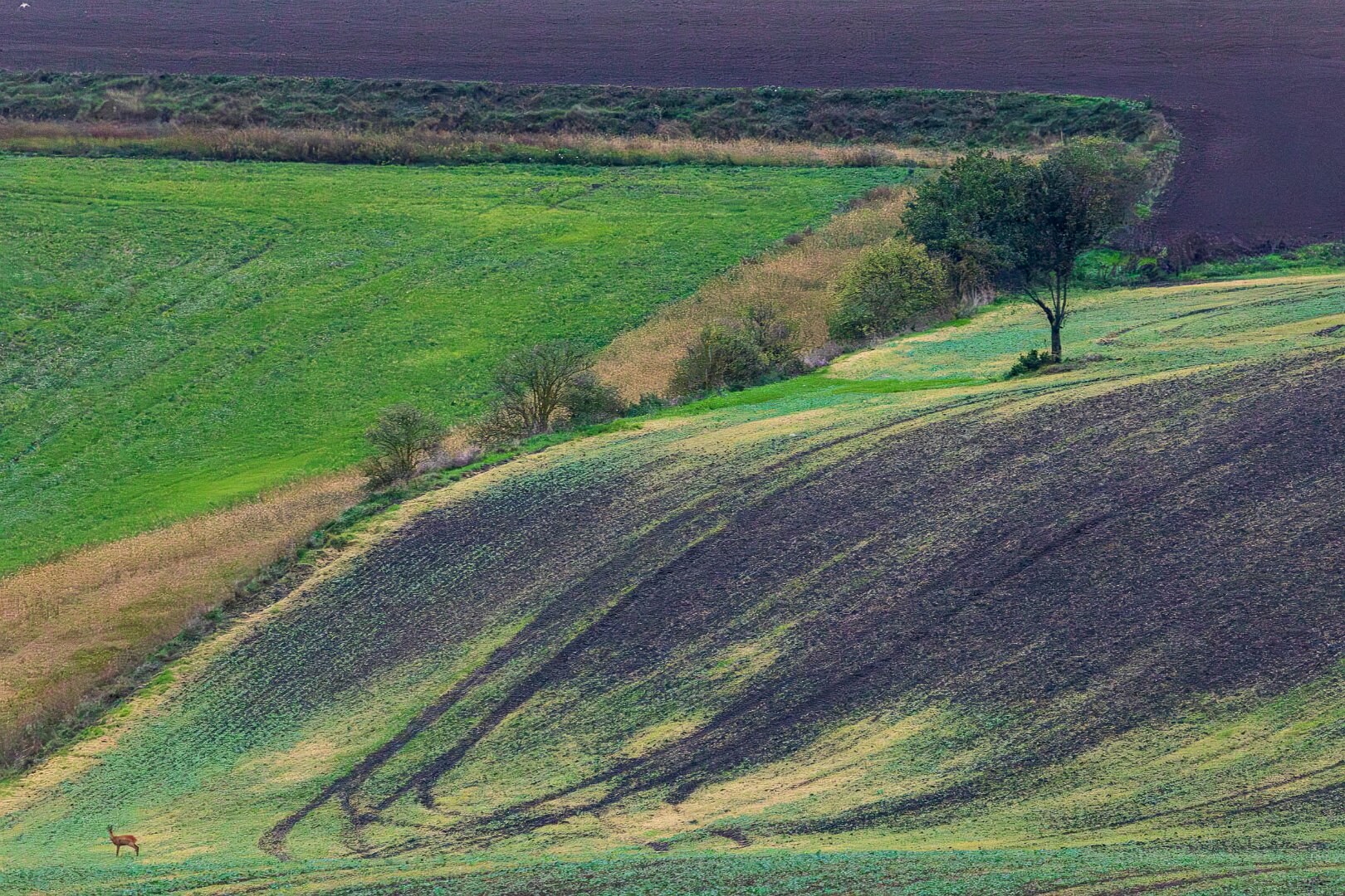 Moravské Toskánsko