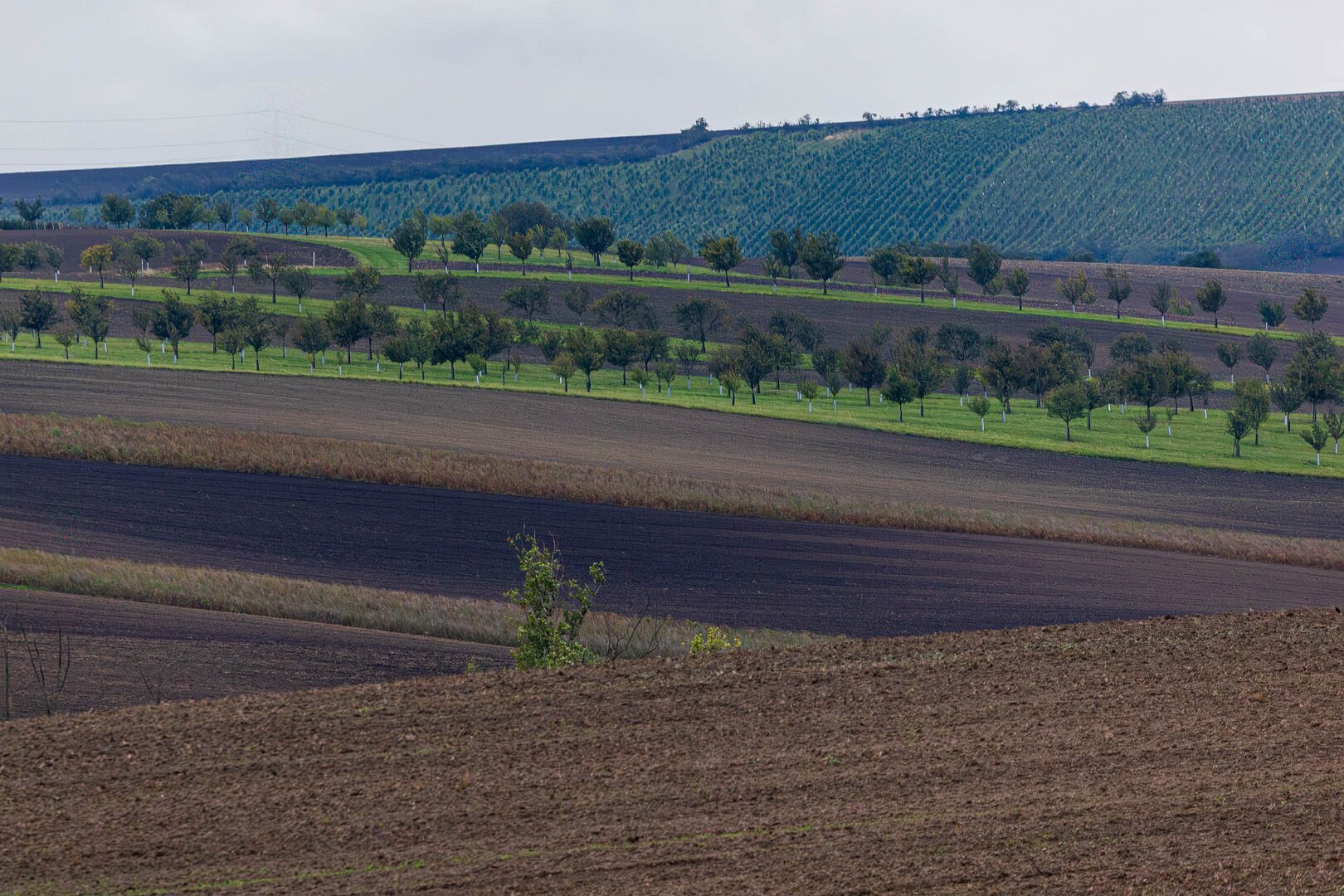 Moravské Toskánsko