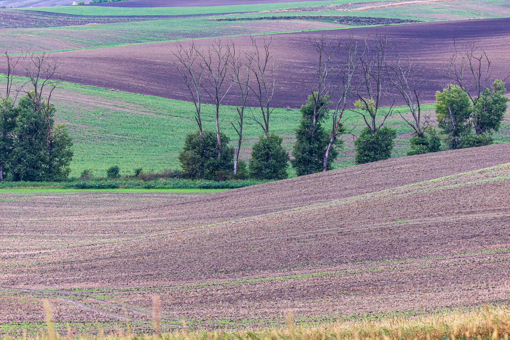 Moravské Toskánsko