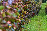 Moravské Toskánsko