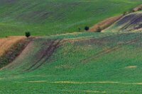 Moravské Toskánsko