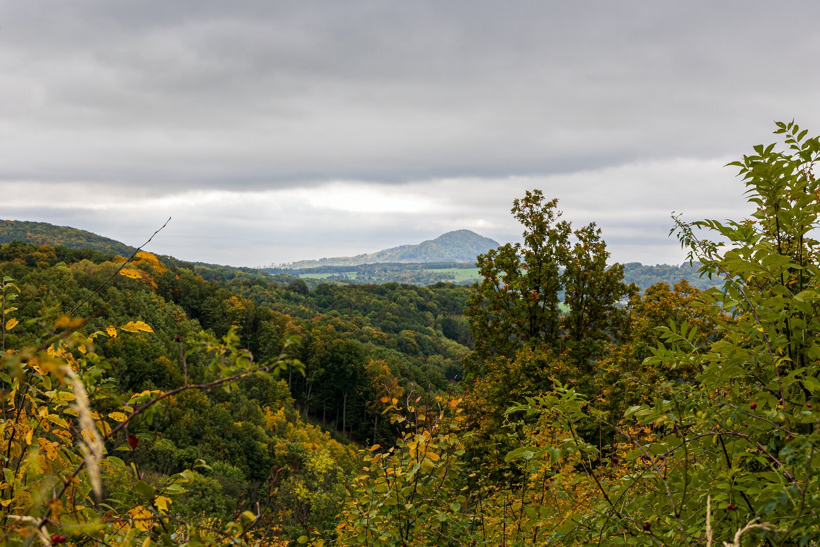 Výhledy pod Bukovou horou