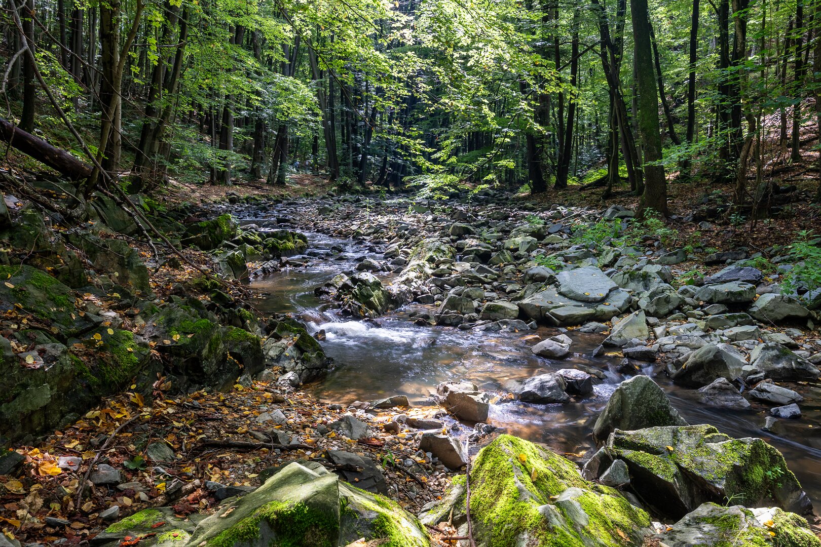 Údolí řeky Krounky