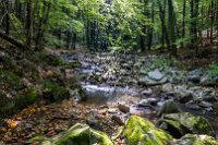 Údolí řeky Krounky