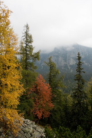 img00001.jpg