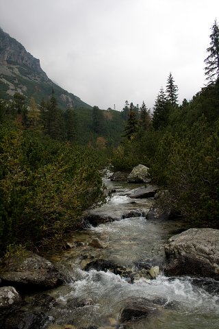 img00002.jpg