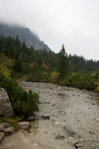 img00003.jpg