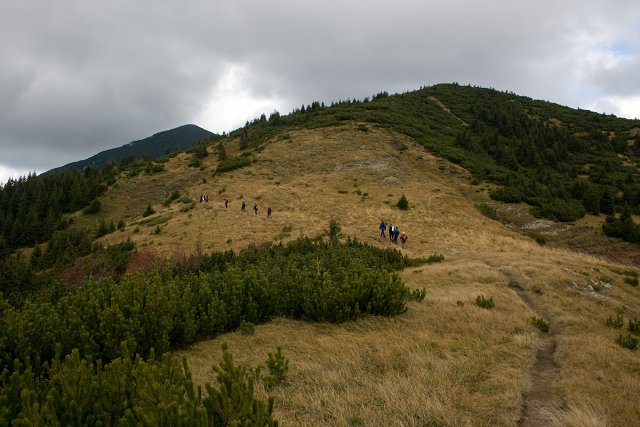 img00015.jpg