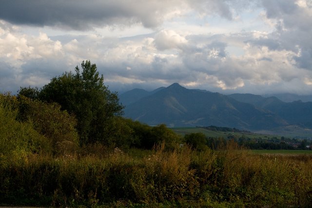 img00027.jpg